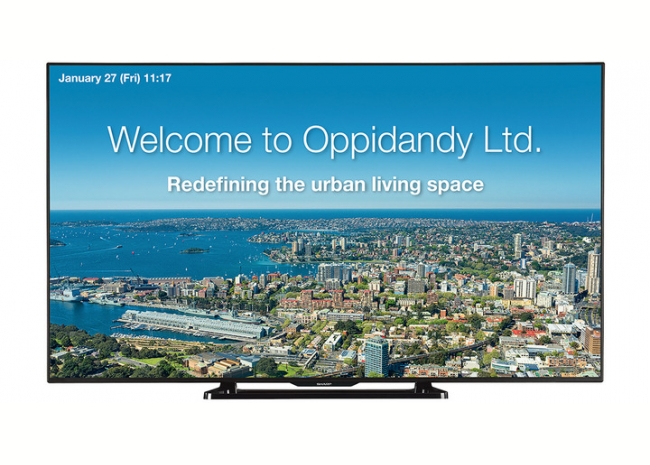 Sharp PN-Q801E - Ecran Professionnel Intérieur 80