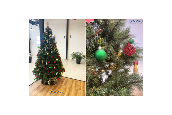 Découvrez notre joli sapin ! 